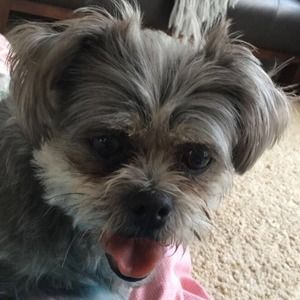 Meet your Posher, Halanna